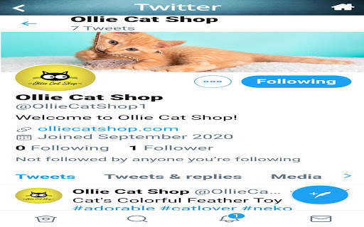Cat Shop screenshot 7