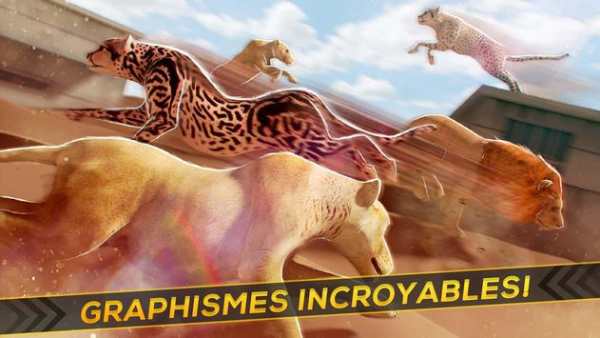 Léopards contre Lions! screenshot 8