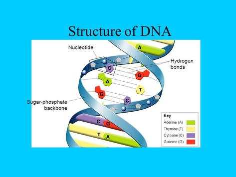 Genetic Engineering App screenshot 1