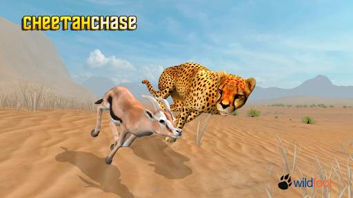 Cheetah Chase Simulator screenshot 1