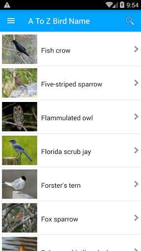 Bird Name And Sound screenshot 1