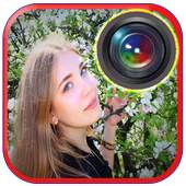 Cam B612 for WhatsApp 1.0