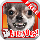 Angry Dog Free! आइकन