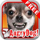 Angry Dog Free! 1.076