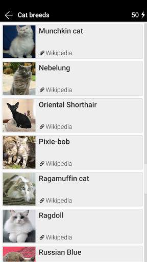 Cat breeds - Photo Quiz screenshot 3