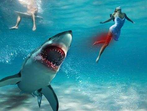 3D Shark Simulator Free screenshot 1