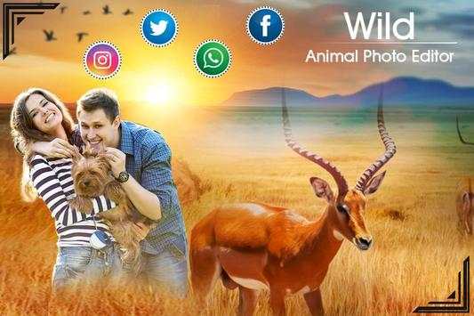 Wild Animal Photo screenshot 5