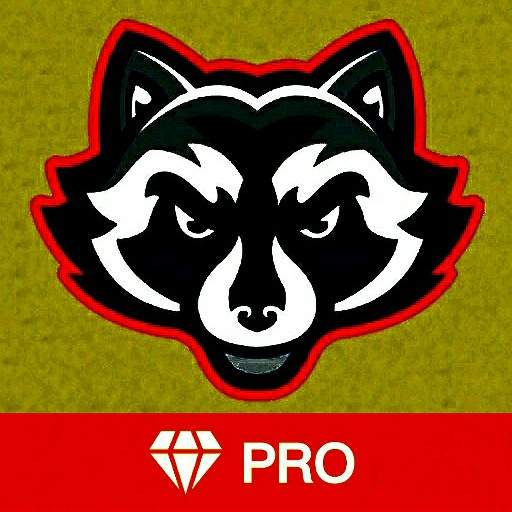 VPN Pro 1.1
