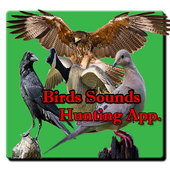 Bird Hunting All Birds Sounds/Calls In One App. icon