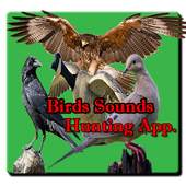 Bird Hunting All Birds Sounds/Calls In One App. 1.0.1