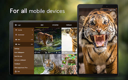 Tiger Wallpapers 4K screenshot 6