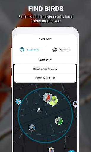 Birds Identifier App by Photo, Bird ID Camera 2020 screenshot 9