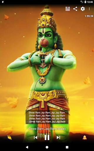Hanuman Chalisa HD - Sai Soft screenshot 16