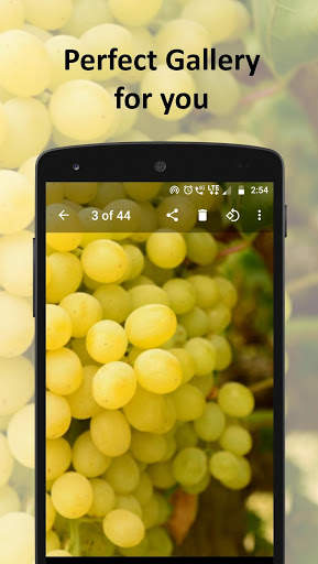 Gallery screenshot 2