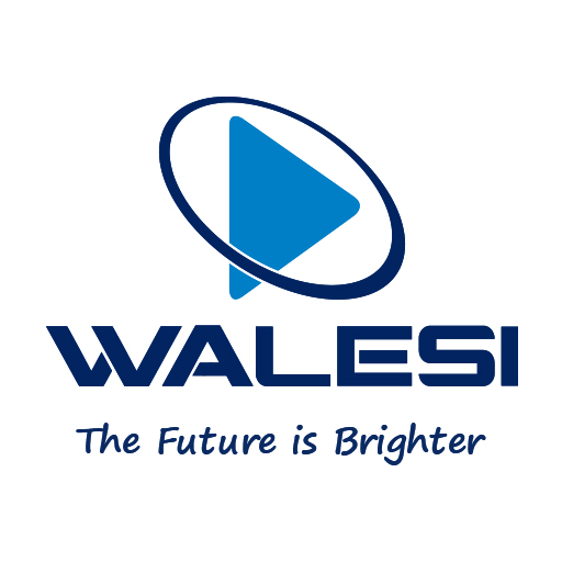 Walesi أيقونة