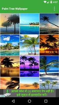 Palm Tree Wallpapers 1 تصوير الشاشة