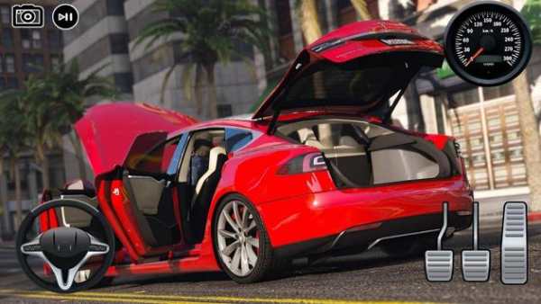 Driving Energy Model S Racing Simulator screenshot 1