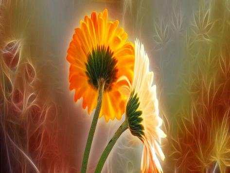3D Flower Backround Wallpapers screenshot 8