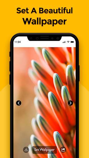 HD Wallpaper  - Auto Wallpaper Changer screenshot 4