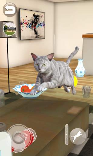 Talking Tabby Cat screenshot 3