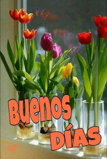 Buenos Días Flores Fotos Feliz Día De San Valentín screenshot 6