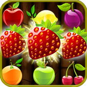 Fruits Splash icon