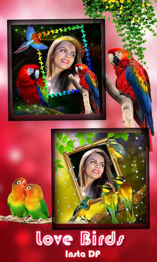 Love Bird Insta Dp Maker स्क्रीनशॉट 1