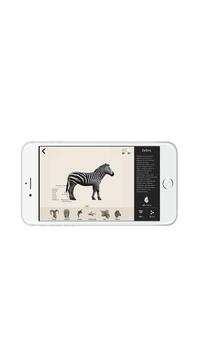 Animal 4D  Lite screenshot 2