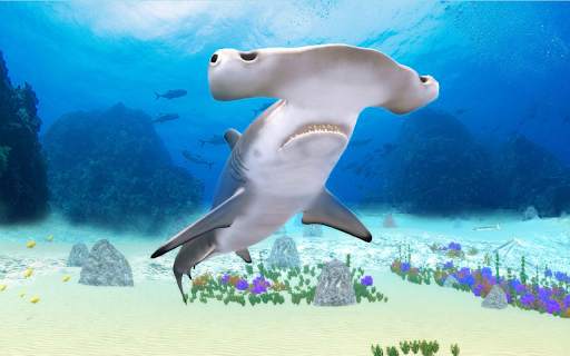 The Hammerhead Shark screenshot 23