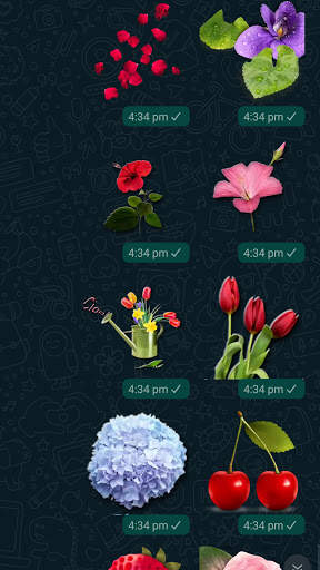 Flowers Stickers for Whatsapp screenshot 3