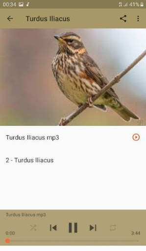 Song Thrush screenshot 5