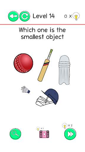 Brain Games Cricket Edition screenshot 6