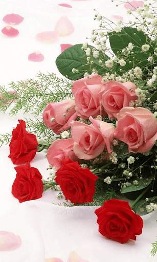 Rose Live Wallpaper screenshot 2
