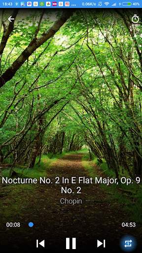 Relaxing Classical Music screenshot 7