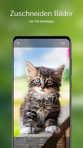 Hintergrundbilder Katzen 4K screenshot 4