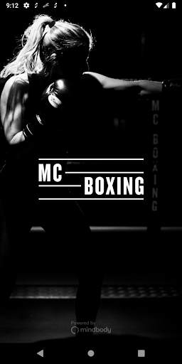 MC Boxing screenshot 1