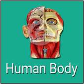 Human Body 1.0.0