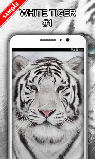 White Tiger Wallpapers screenshot 2