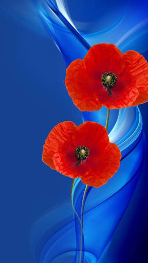Red Poppies 3D Wallpaper screenshot 1