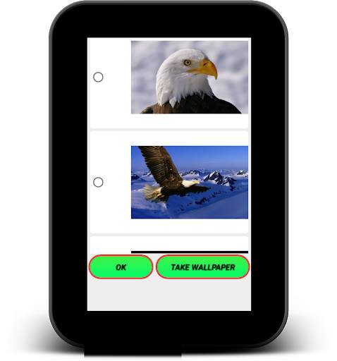 Eagle Live Wallpaper - Screen Lock, Sensor, Auto screenshot 10