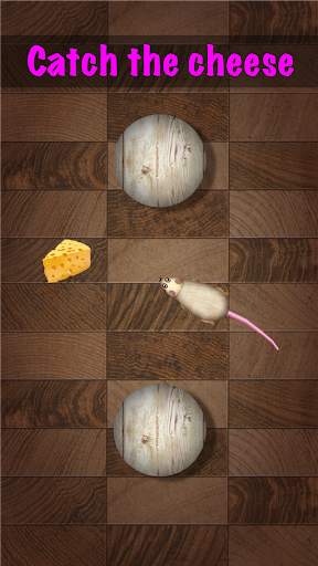 Games for Cat mouse on screen screenshot 1