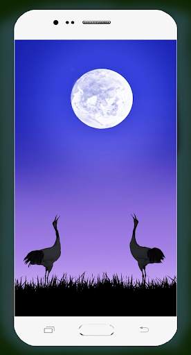 Moonlight Wallpaper 4K screenshot 15