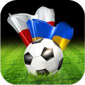 Euro 2012 App - English Ver. 1.0