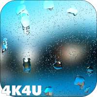 4K Rain Drops on Screen Live Wallpaper logo