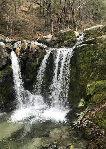 Nature Video Live Wallpaper screenshot 6