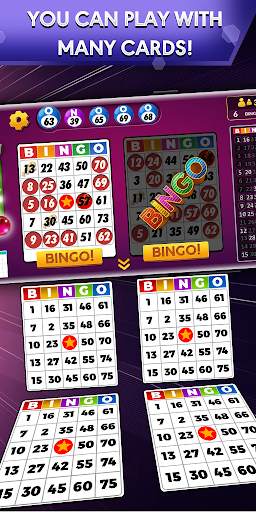 Bingo - Offline Bingo Game screenshot 1