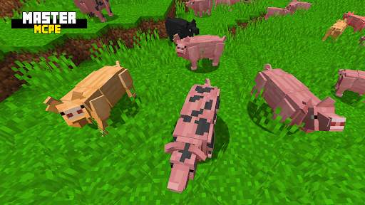 Master for Minecraft PE screenshot 6