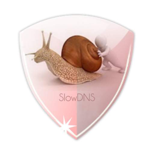 VPN Over DNS  Tunnel : SlowDNS 2.6.7