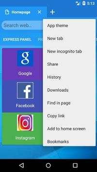 Lite Browser screenshot 2