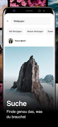 Pexels: HD  Videos & Fotos screenshot 3